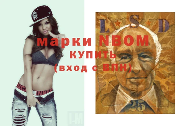 мдпв Арсеньев