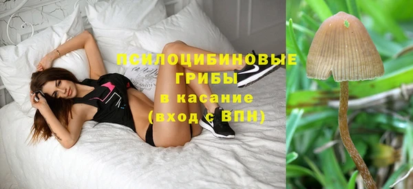 мдпв Арсеньев