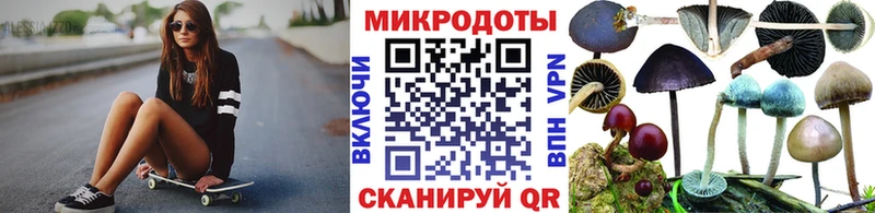 Купить  Суджа  Псилоцибиновые грибы Magic Shrooms 