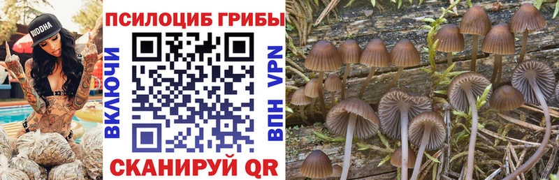 Псилоцибиновые грибы прущие грибы Суджа