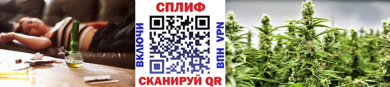 Шишки марихуана THC 21%  Купить  Суджа 